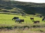 10. Cascata Gullfoss, Geysir, lago Pingvallavatn, Gardur, Sandgerdi
