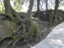 5. Parco di Bomarzo, Bomarzo, Vitorchiano, Viterbo