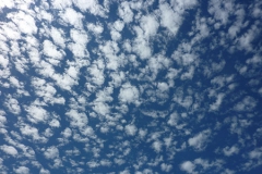 _1335941204