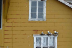 P1170323