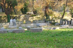 P1020037