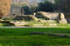 P1020041