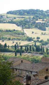 Marche