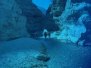 2. Wadi Shab, Turtle Beach Resort